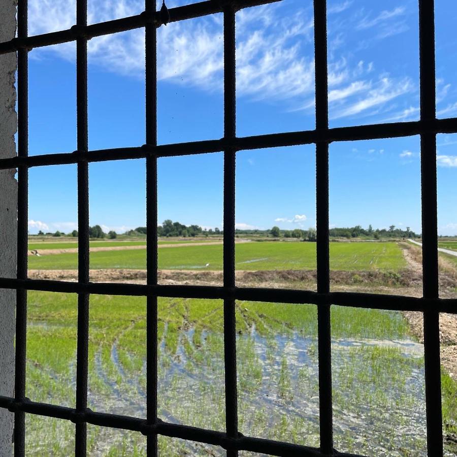 Tenuta Favorita Country House B&B Fontanetto Po Dış mekan fotoğraf